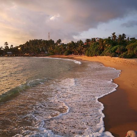 Turtle Bay Beach Resort Mirissa Extérieur photo