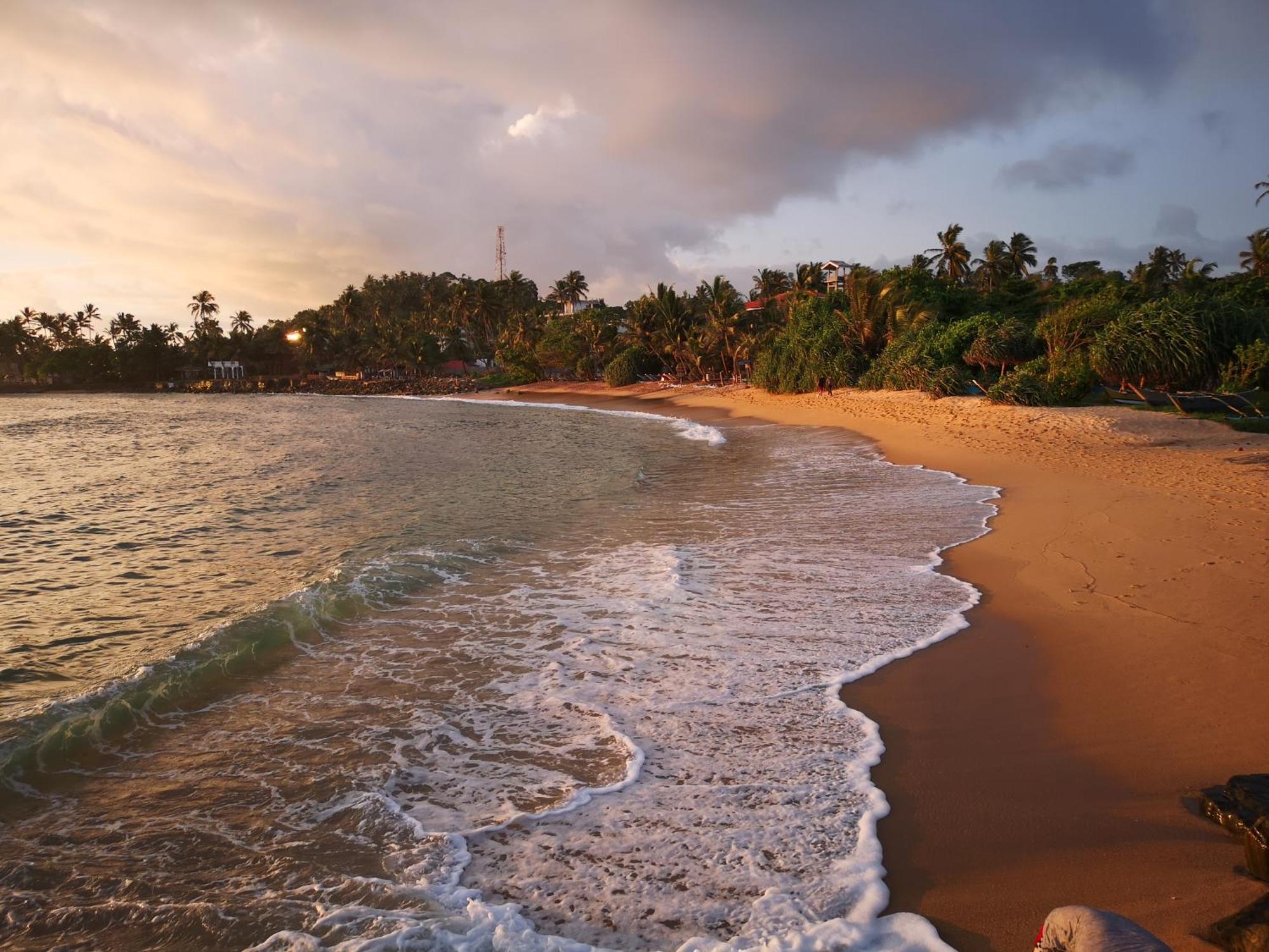 Turtle Bay Beach Resort Mirissa Extérieur photo